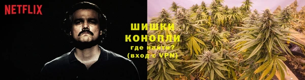дурь Гусь-Хрустальный