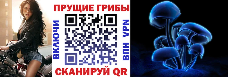 Псилоцибиновые грибы GOLDEN TEACHER где найти наркотики Добрянка